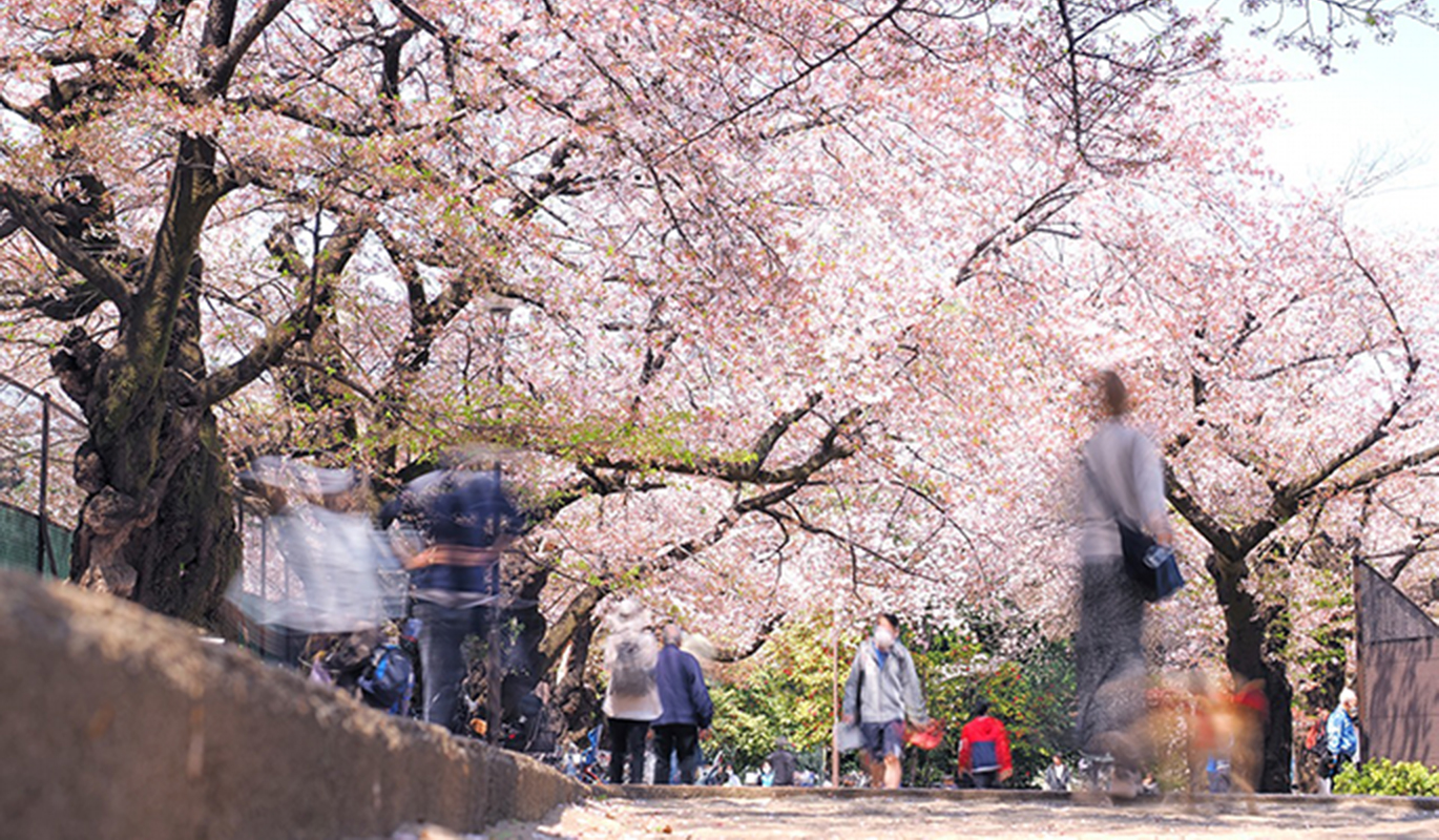 哲学堂フォトコンテスト